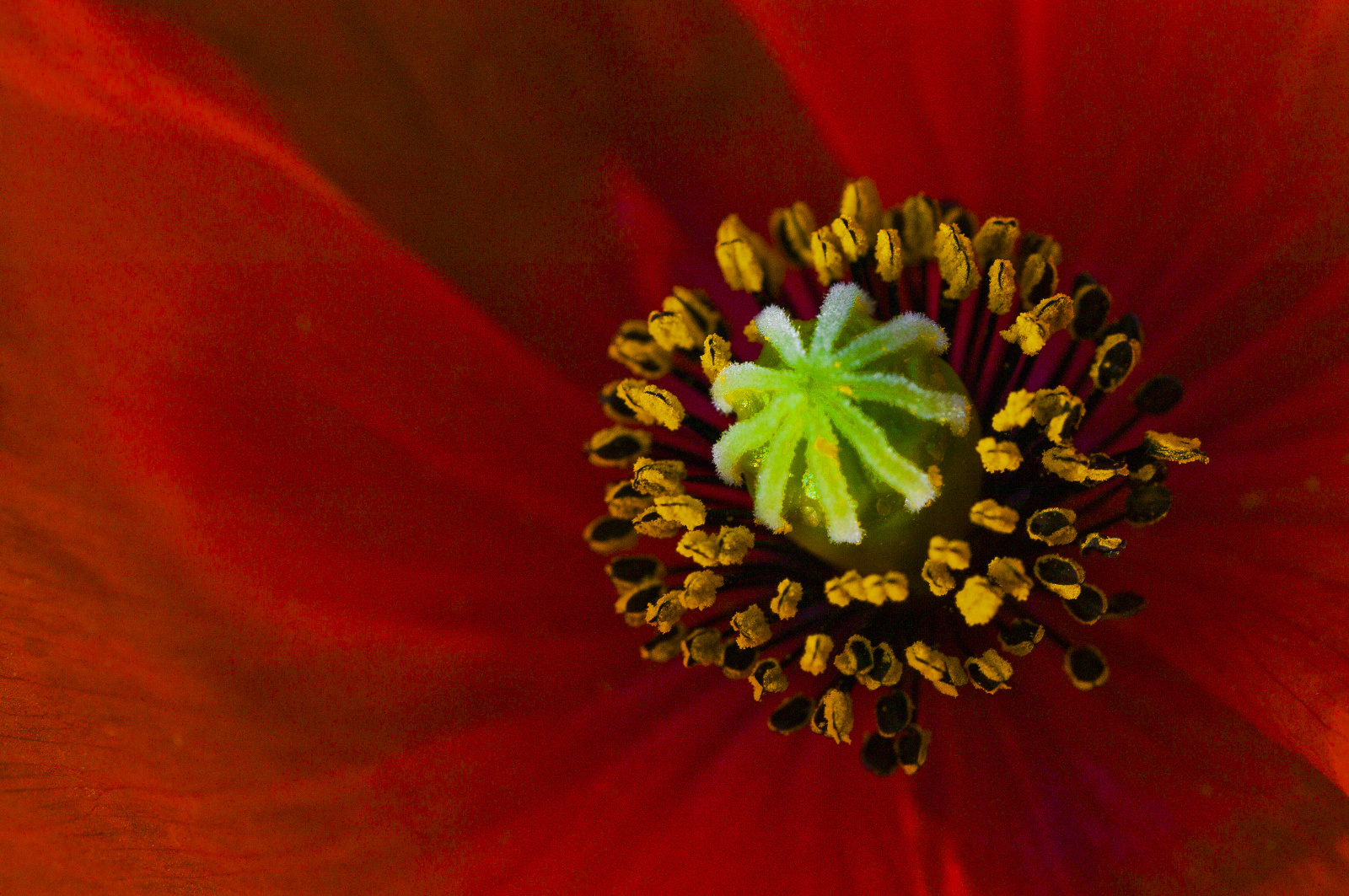 20DU7700   Arbeitskopie 2